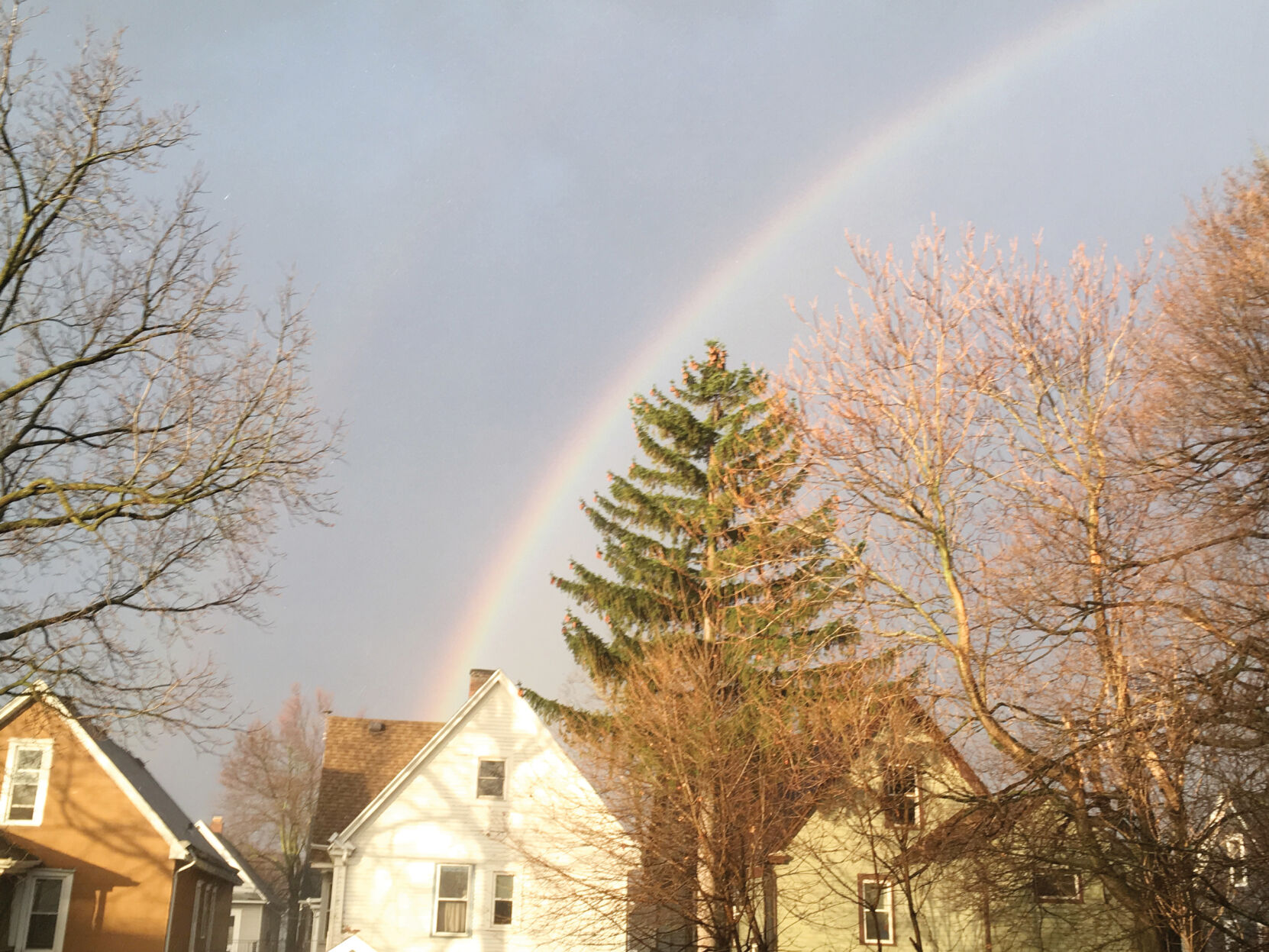 A South Buffalo rainbow